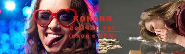 таблы Новозыбков
