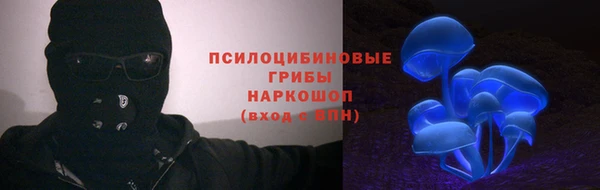 дмт Новодвинск