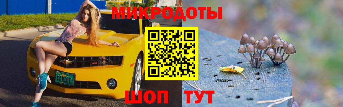 Галлюциногенные грибы Psilocybine cubensis  Ачинск 